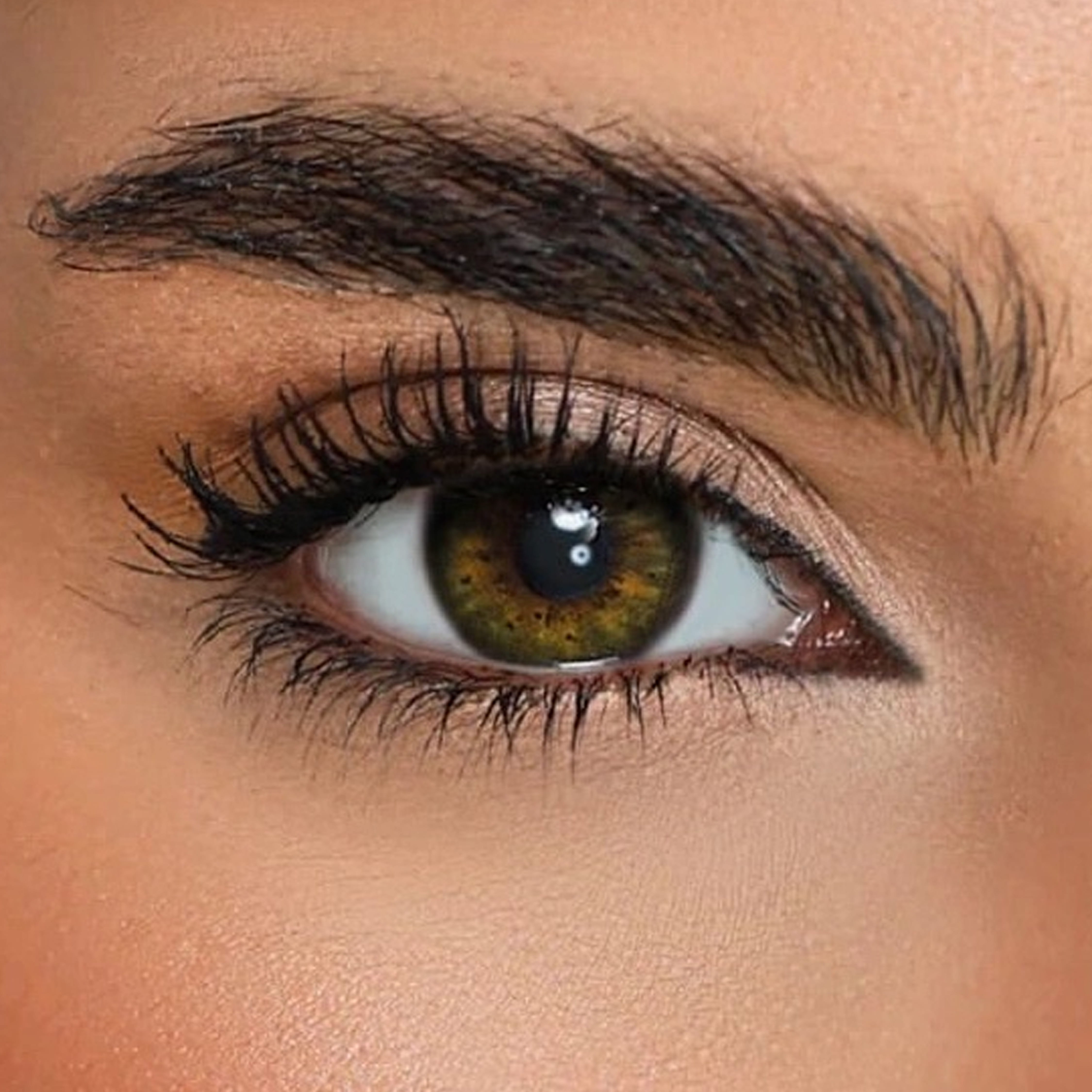 Monthly Attitude Contact Lenses - Forever Green